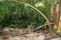 P_2007-12-21 16-05-00_1276